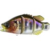 REALIS SNAPPY CRAPPIE - CDA3058 PRISM GILL