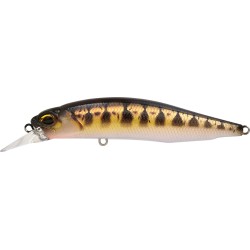 REALIS ROZANTE 77 SP - CCCZ431 VAIRON UV (UF)