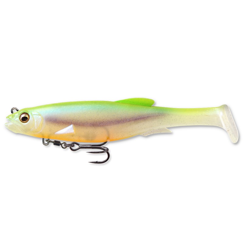 MAG DRAFT 5 - CHART BACK SHAD