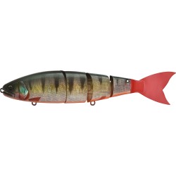 BALAM 200 - RED FIN PERCH