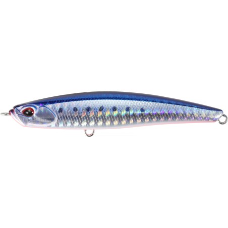 BAYRUF SEEK 85HW - AHA0087 MAZUME SARDINE