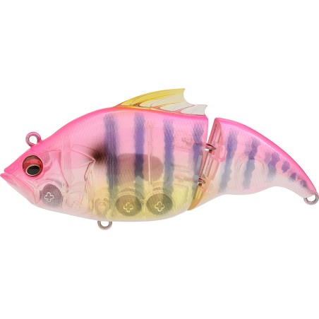 VATALION 115F - GP PINK GILL (SP-C)