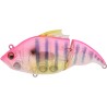 VATALION 115F - GP PINK GILL (SP-C)