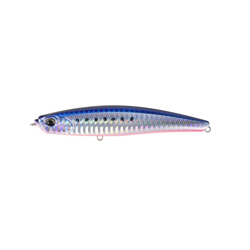 BAYRUF SEEK 108S - AHA0087 MAZUME SARDINE