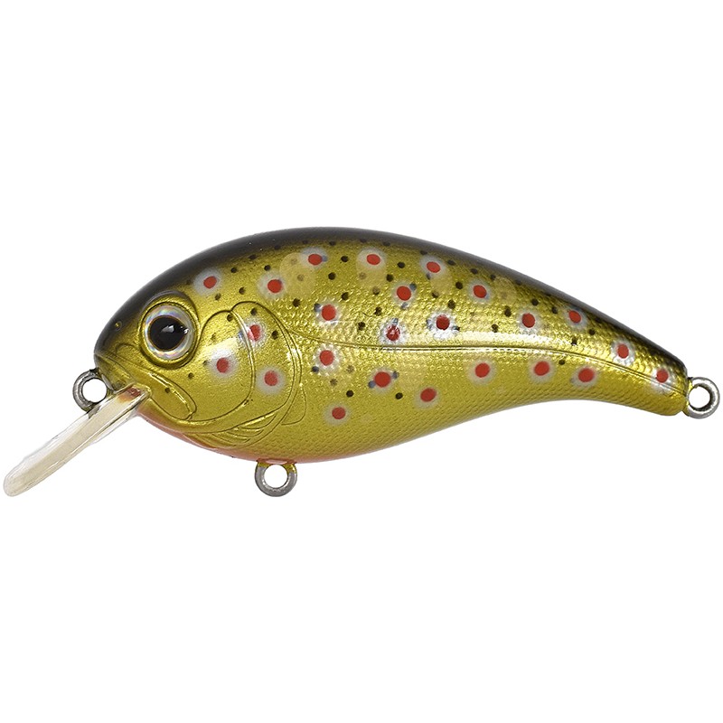 ELFIN CRANK - GOLD FARIO