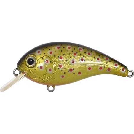 ELFIN CRANK - GOLD FARIO