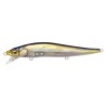 VISION 110 SR - HT TENNESSE SHAD