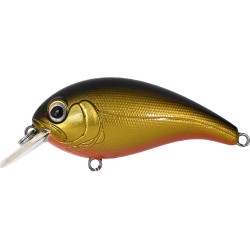 ELFIN CRANK - 5 GOLD BLACK / ORANGE BELLY