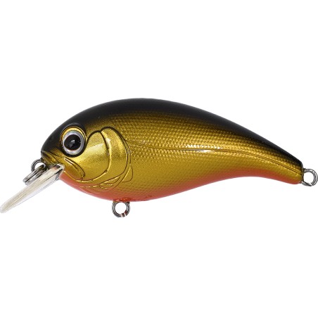 ELFIN CRANK - 5 GOLD BLACK / ORANGE BELLY