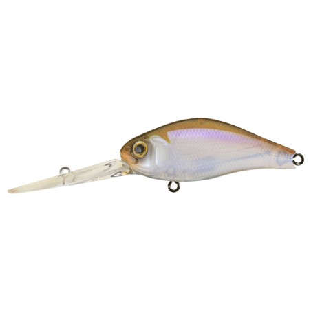 B.SWITCHER 3-0 NO RATTLE - 817 KANTO REAL WAKASAGI