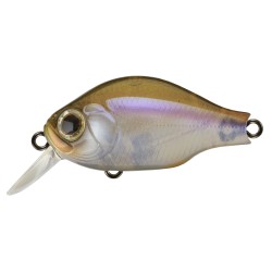 B.SWITCHER 1-0 NO RATTLE - 817 KANTO REAL WAKASAGI