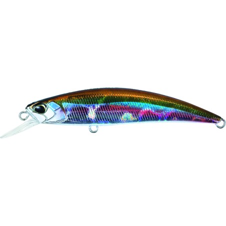 SPEARHEAD RYUKI 70 SP - ADA4013 WAKASAGI