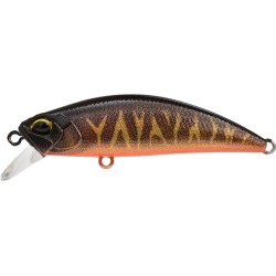 SPEARHEAD RYUKI 50 S - ACCZ570 BROWN TIGER OB UV (UF)