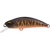 SPEARHEAD RYUKI 38 S - ACCZ570 BROWN TIGER OB UV (UF)