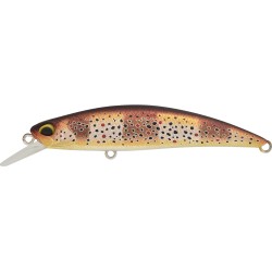 SPEARHEAD RYUKI 70 S - ACCZ569 MAT ZEBRA TROUT UV (UF)