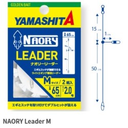 NAORY LEADER M