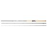 CANNE TEAM DAIWA TROUT 393ML