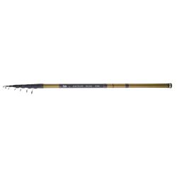 CANNE DAIWA EXCELER T 60 R