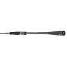 CANNE DAIWA PROREX AGS 802 HFS