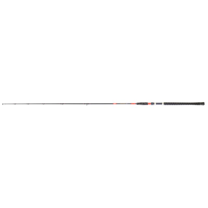CANNE DAIWA MEGAFORCE BF 295 T XH
