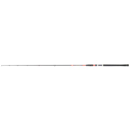 CANNE DAIWA MEGAFORCE BF 295 T XH