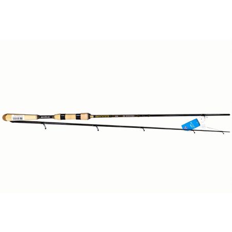 LANCER TRUITE DAIWA SAMURAI Z 602 MLFS