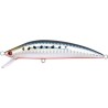 K TEN BLUE OCEAN S [BKS] 90 - 112 SARDINE RED BELLY