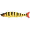JOINTED CLAW 178 SS - UF MAT PIAU