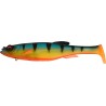 MAG DRAFT 8 - RED FIN PERCH (SP-C)