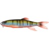 MAG DRAFT HASU RAVER SINKING - RED FIN PERCH (SP-C)
