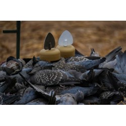 Leurre MOJO Dove A Flicker x4