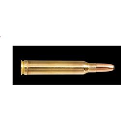 copy ofCART NORMA .300WIN MAG 11.7G/180GR ORYX BTE 20 ref 20174762