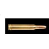 copy ofCART NORMA .300WIN MAG 11.7G/180GR ORYX BTE 20 ref 20174762