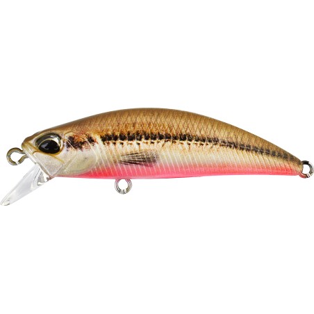 RYUKI 50S - ACC4824 VAIRON /RED BELLY
