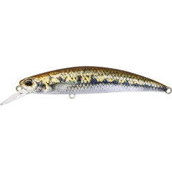 SPEARHEAD RYUKI 80 S - ACCZ114 GOUJON