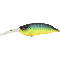 IXI SHAD 3 - MAT TIGER