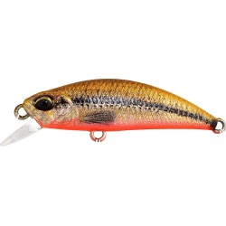 RYUKI 38S - ACC4824