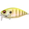 OVER REV CRANK - PM CHART BACK GILL