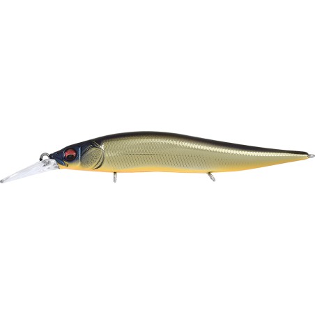 VISION 110 +1 JUNIOR - M CHAMPAGNE KINKURO