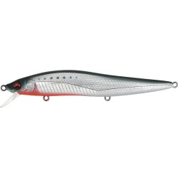 VISION 110 LBO SW - IWASHI RED NECK (SP-C)