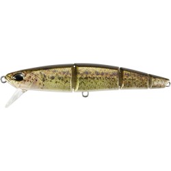 RYUKI QUATTRO 90S   CCCZ214 RP LOACH