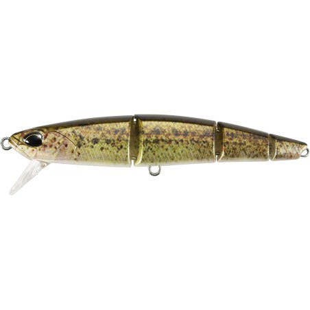 RYUKI QUATTRO 90S   CCCZ214 RP LOACH