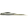 HAZEDONG 5   AVOCADO SILVER PEARL (SP C)