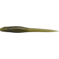 HAZEDONG 5   AVOCADO SOLID (SP C)