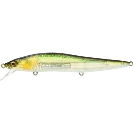 VISION 110 LBO SW   GP AYU (SP C)