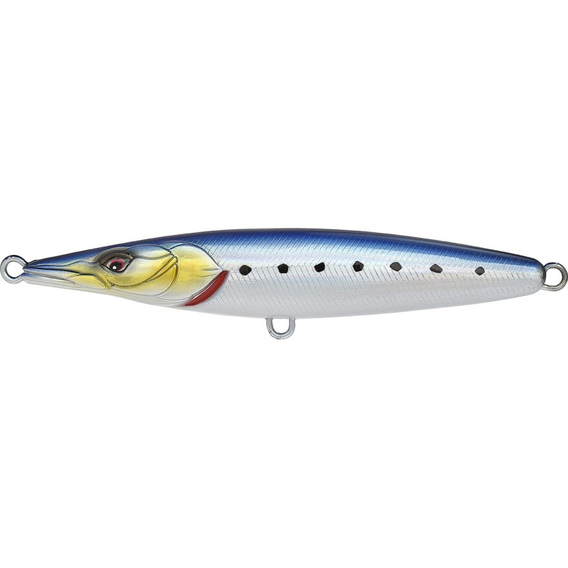 ASTURIE 110   IWASHI