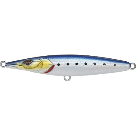ASTURIE 110   IWASHI