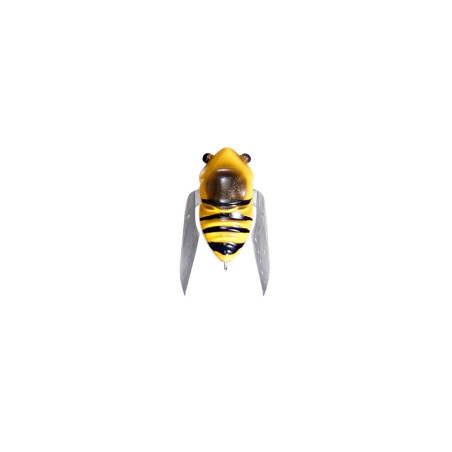 NANO SIGLETT   FF BEE