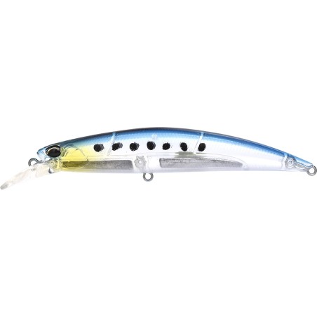 RYUKI 110S SW LTD   CCCZ279 GHOST IWASHI (UF)
