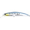 RYUKI 110S SW LTD   CCCZ279 GHOST IWASHI (UF)